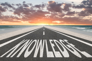 中班社会活动《独特的我》教案