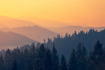 中班社会活动《独特的我》教案