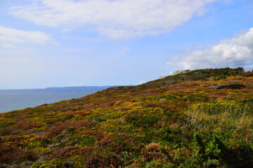 健康教育大型活动总结