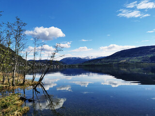 米雅（口服酪酸梭菌活菌剂）是益生菌吗？