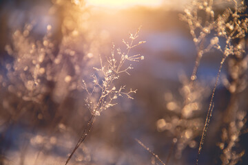 中班社会活动《独特的我》教案