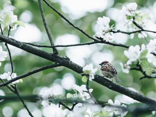 国防教育手抄报的文字