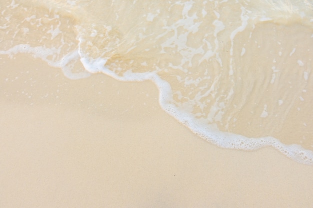 健康教育大型活动总结