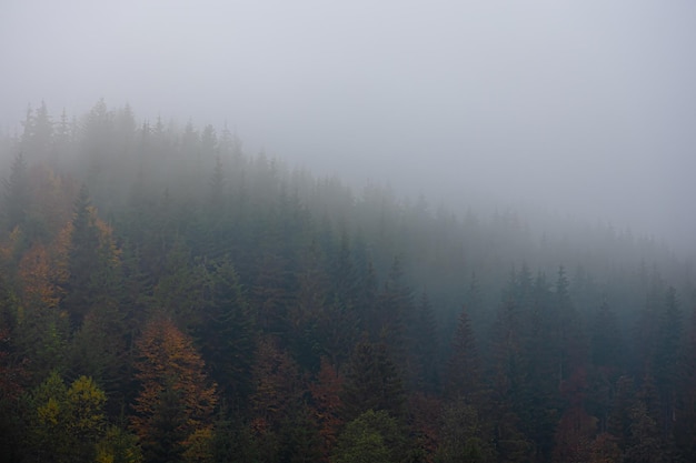 社区开展运动会活动简报
