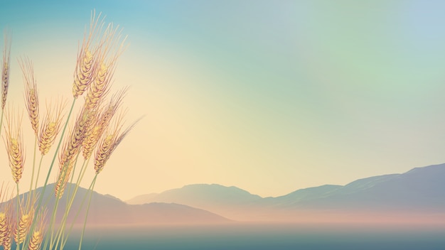 全球十大无人机哪国最厉害？