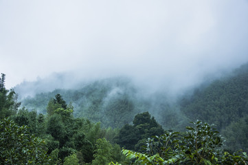 广州长隆大马戏适合带小孩子去吗多大的孩子